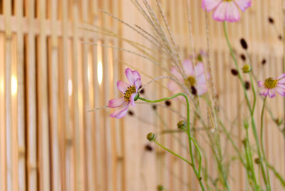 令和7年10月営業日のご案内