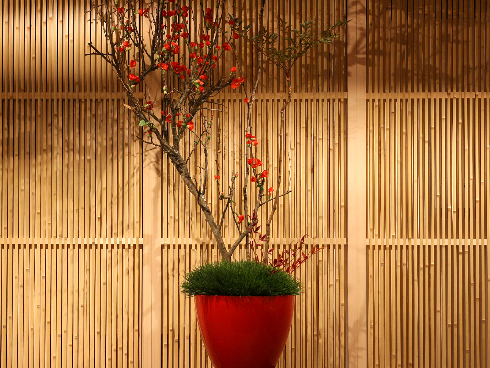 伊豆の幸を食べる