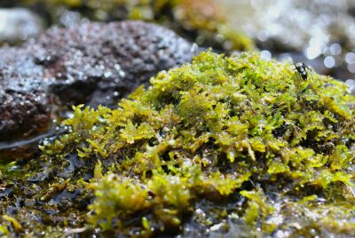 令和８年５月　営業日のご案内