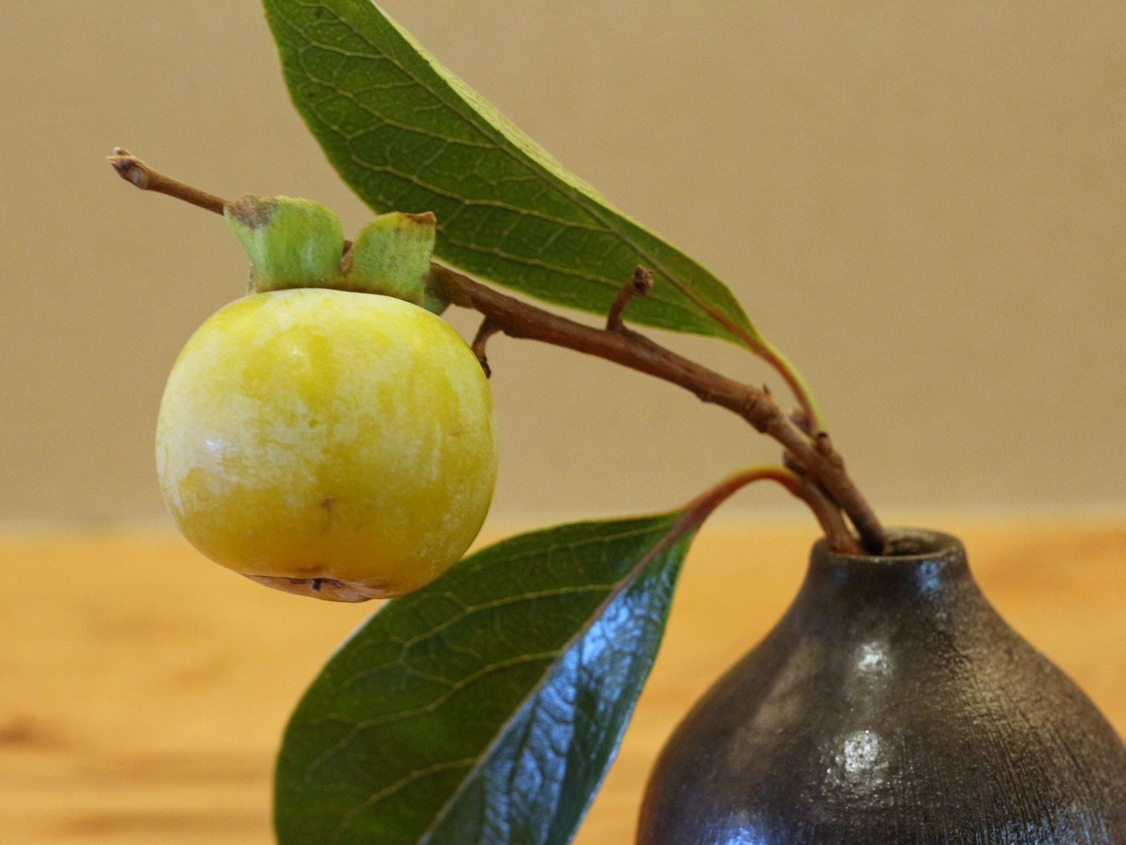 伊豆の幸を食べる
